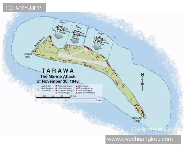 成都篮球队防反战术全解析深度探讨其成功秘诀与战术运用